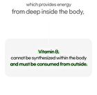 Green Tea Extract (Green Season 4) - 1100mg x 60 tablets