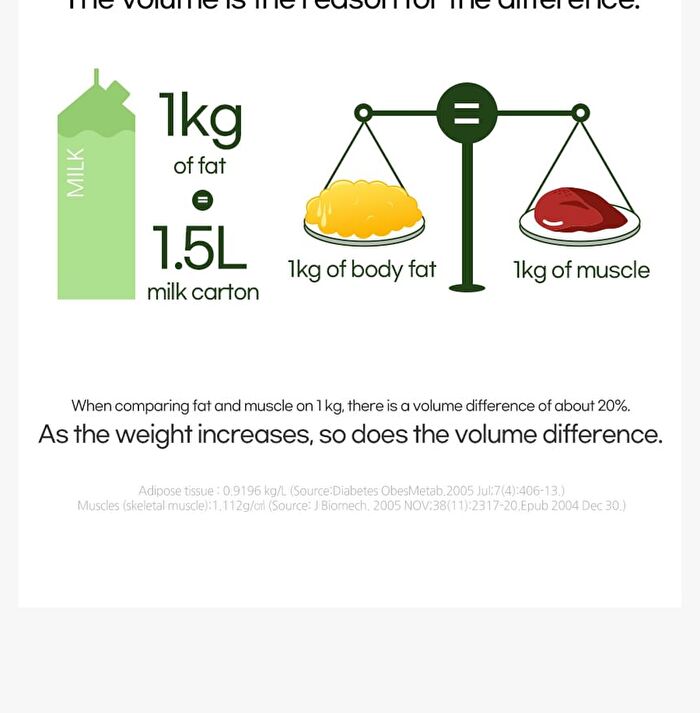 Green Tea Extract (Green Season 4) - 1100mg x 60 tablets