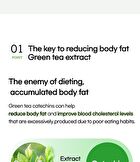 Green Tea Extract (Green Season 4) - 1100mg x 60 tablets