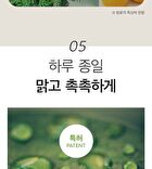 Vegan Cica Teatree AHA PHA Blemish Toner Mini - 30ml