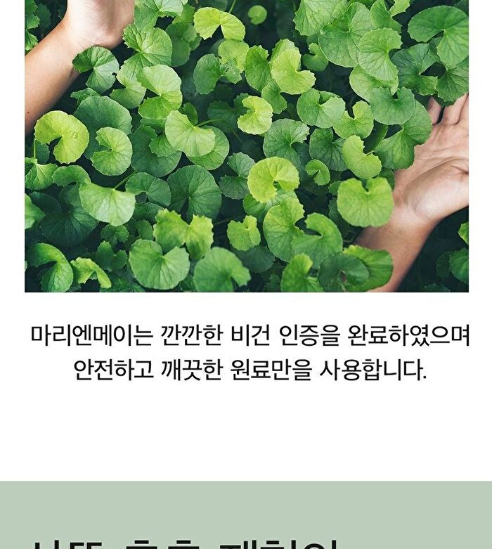 Vegan Cica Teatree AHA PHA Blemish Toner Mini - 30ml