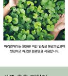 Vegan Cica Teatree AHA PHA Blemish Toner Mini - 30ml