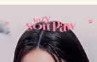 Pro Eye Palette Koshort In Seoul Limited Edition - 2 Types - #19 Napping Cheese