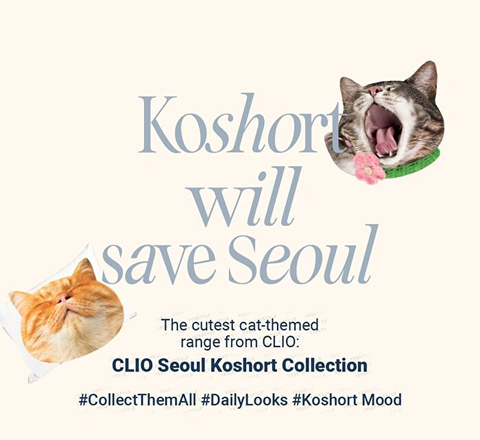 Pro Eye Palette Koshort In Seoul Limited Edition - 2 Types - #19 Napping Cheese