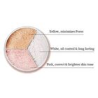 Catkin 3-Colors Loosing Finishing Powder- 2 Colors - #C01  Shimmer