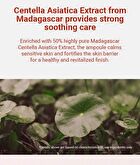 SKIN1004 Madagascar Centella Poremizing Fresh Ampoule Mini - 30ml