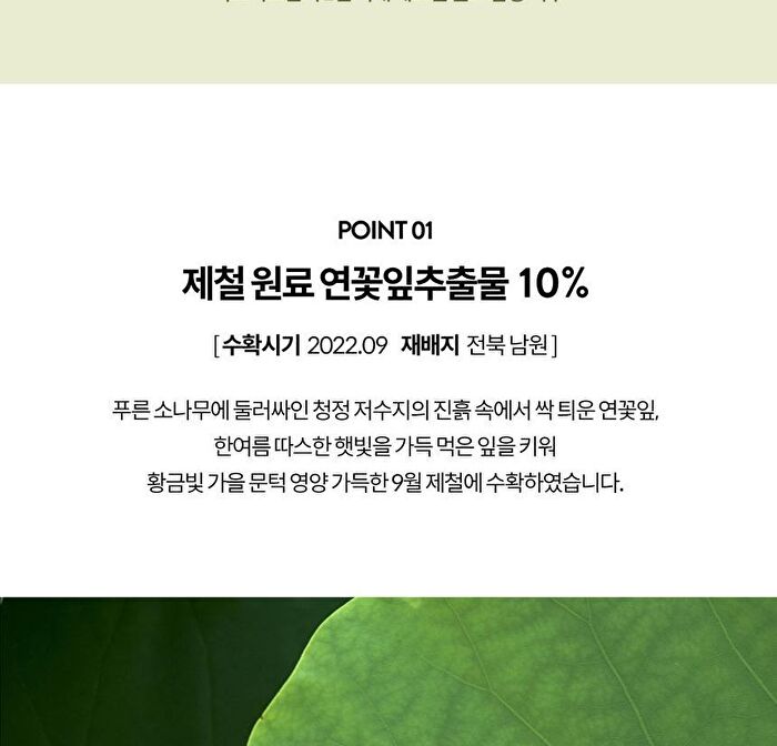 All Your Love Body Cream - 300ml