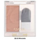Seamless Tone Blush - SB02 Sister
