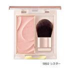 Seamless Tone Blush - SB02 Sister