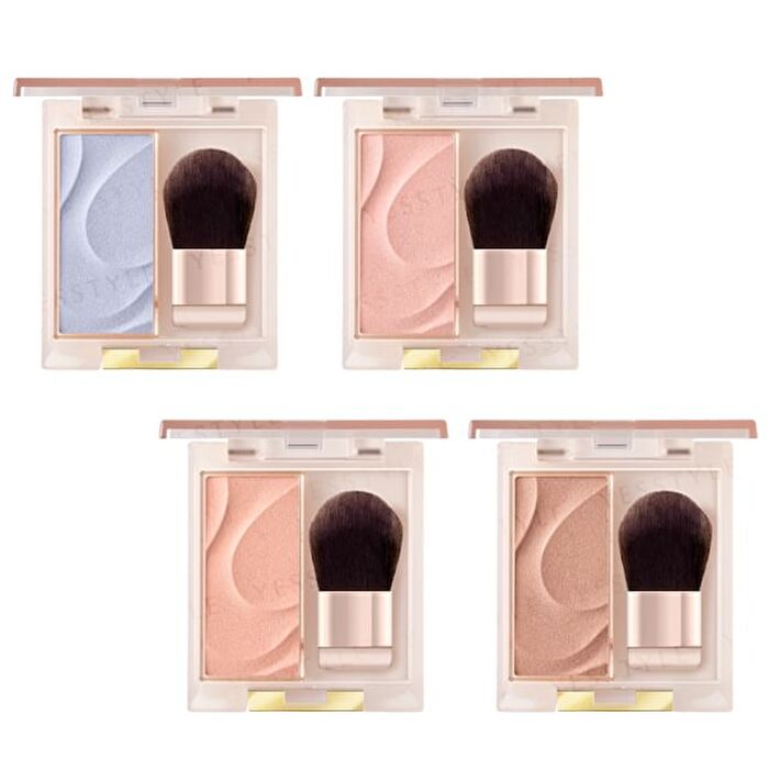 Seamless Tone Blush - SB02 Sister