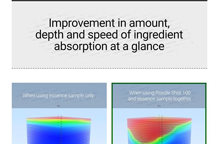 Vt Reedle Shot 100 - 50ml