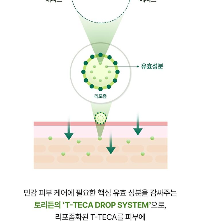 Balanceful Cica Mask Set - 25ml x 10 pcs