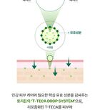 Balanceful Cica Mask Set - 25ml x 10 pcs
