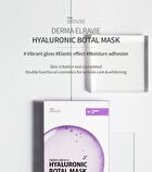Hyaluronic Botal Mask Set - 23g x 10 sheets