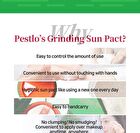 Pestlo Saferecipe No Sebum Grinding Sun Pact - 18g