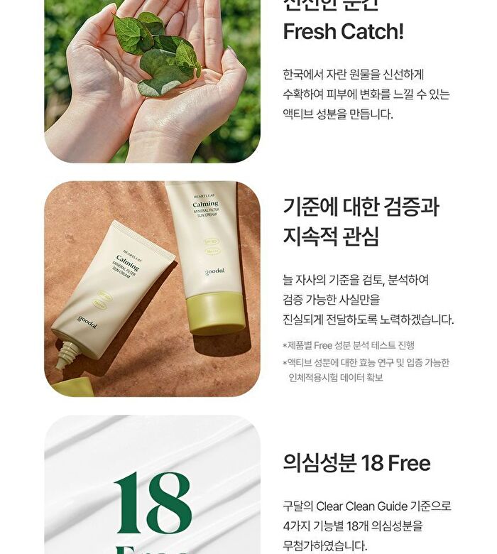 Heartleaf Calming Mineral Filter Sun Cream - 50ml