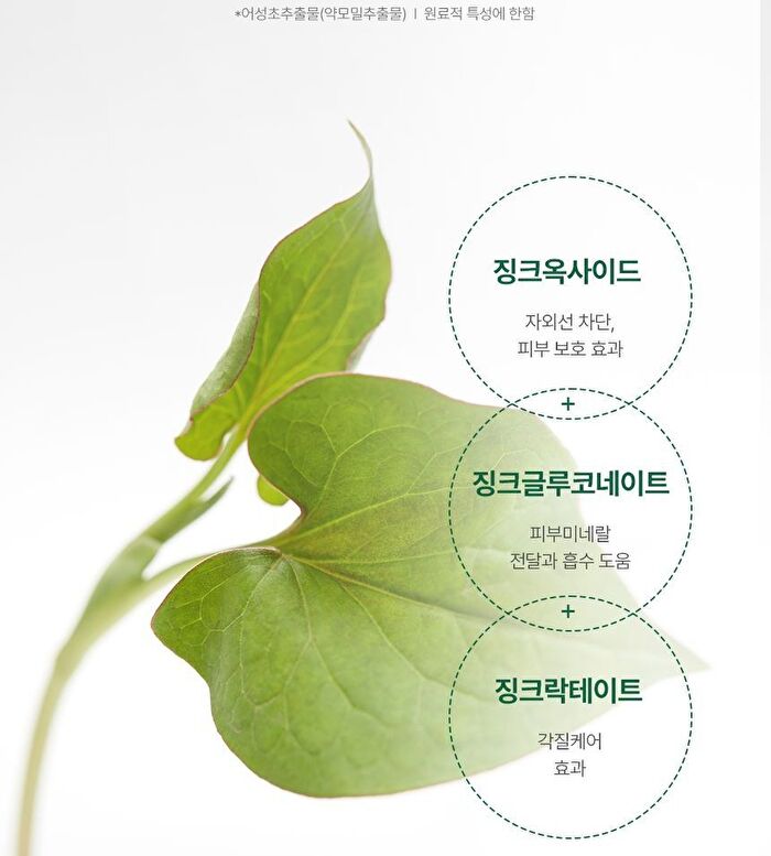 Heartleaf Calming Mineral Filter Sun Cream - 50ml