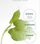 Heartleaf Calming Mineral Filter Sun Cream - 50ml