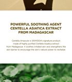 SKIN1004 Madagascar Centella Ampoule - 55ml