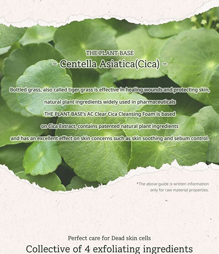 AC Clear Cica Cleansing Foam - 120ml