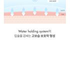 romand Glasting Melting Balm New Bare Series - 2 Colors - #08 Coralia