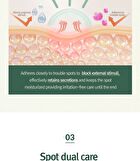Calming Clear Spot Patch Intensive Care - 165 patches