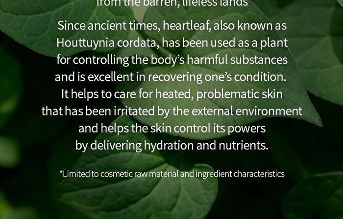 Heartleaf 80 Skin Toner Pad - 70 pads