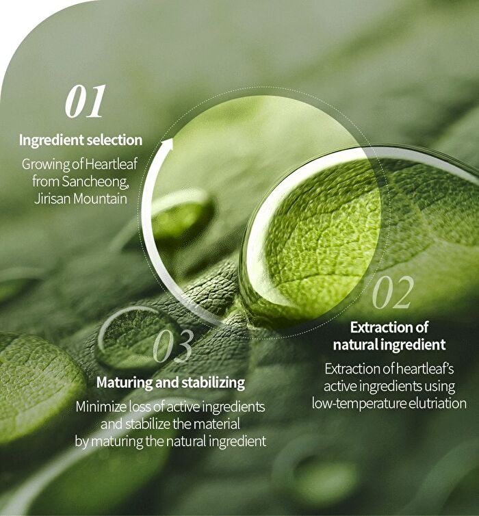 Heartleaf 80 Skin Toner Pad - 70 pads