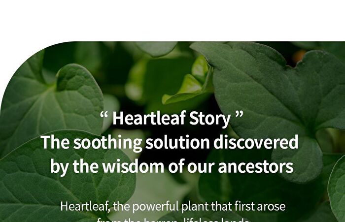 Heartleaf 80 Skin Toner Pad - 70 pads