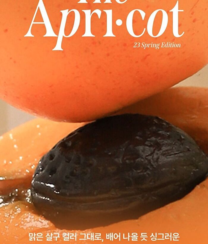 Ready To Wear Water Lipstick Apricot Edition - #04 Wet Apricot