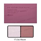 Eye Edition Color Palette - 13 Mimosa Sparkle
