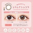 Milimore One-Day Color Lens Jirashite Chocolat 10 pcs - P-6.00 (10 pcs)