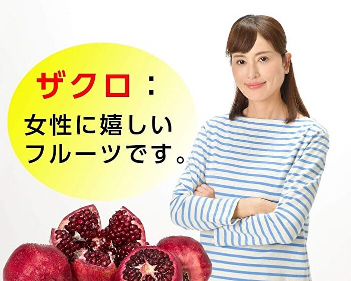 Fine Japan Pomegranate Tablets - 450 Tablets