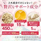 Fine Japan Hyaluron & Collagen + Ubiquinol Q10 Powder Can Type - 196g