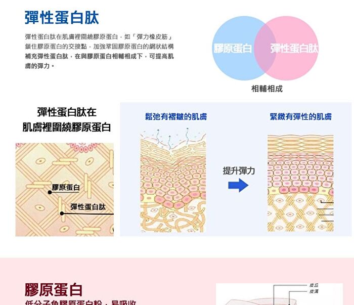 Fine Japan Hyaluron & Collagen + Ubiquinol Q10 Powder Can Type - 196g