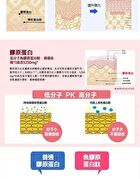 Fine Japan Hyaluron & Collagen + Ubiquinol Q10 Powder Refill - 210g