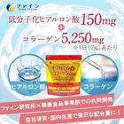 Fine Japan Hyaluron & Collagen + Ubiquinol Q10 Powder Refill - 210g
