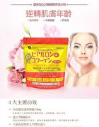 Fine Japan Hyaluron & Collagen + Ubiquinol Q10 Powder Refill - 210g