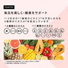 Fine Japan Fine Protein Diet Powder Berry Mix - 300g