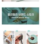 Highlighter Fan Brush 856 - 2025 Version - 1 pc