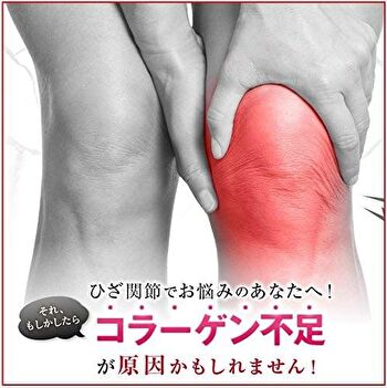 Fine Japan Function Claims Undenatured Type II Collagen UC-II - 250 Tablets