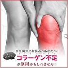 Fine Japan Function Claims Undenatured Type II Collagen UC-II - 250 Tablets