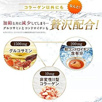 Fine Japan Function Claims Undenatured Type II Collagen UC-II - 250 Tablets