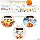 Fine Japan Function Claims Undenatured Type II Collagen UC-II - 250 Tablets