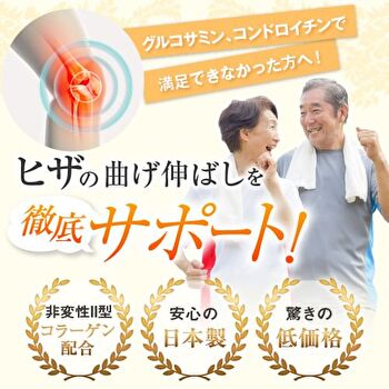 Fine Japan Function Claims Undenatured Type II Collagen UC-II - 250 Tablets