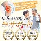 Fine Japan Function Claims Undenatured Type II Collagen UC-II - 250 Tablets