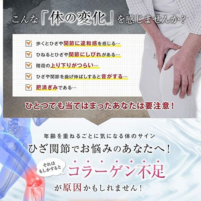 Fine Japan Function Claims Undenatured Type II Collagen UC-II - 250 Tablets