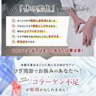 Fine Japan Function Claims Undenatured Type II Collagen UC-II - 250 Tablets