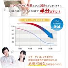 Fine Japan Function Claims Undenatured Type II Collagen UC-II - 250 Tablets