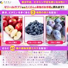 Fine Japan Everyday Fruit Jelly + Iron Supplement Blueberry Flavor - 10g x 20